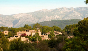 Asis de Marratxinet